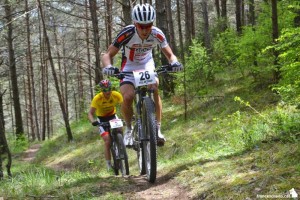 © francescllado.cat