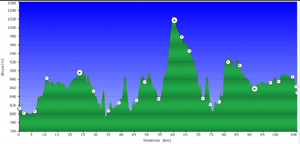 perfil marcha pipe gomez_15
