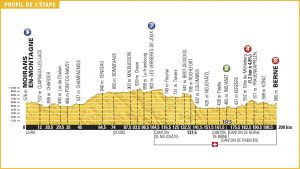 Perfil de la 16ª etapa © TDF