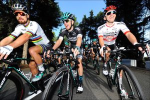 Sagan_Konig_Majka_Bora Hangrohe_2017