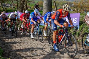 Ivan Garcia Cortina_Flandes_2017