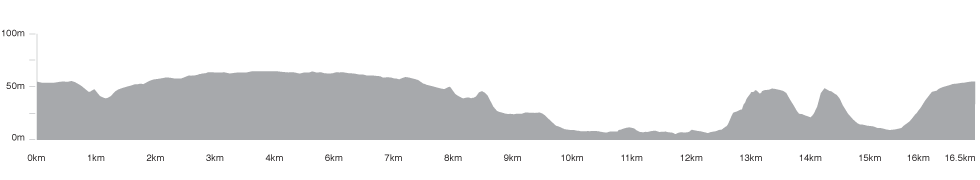 Perfil del Mundial de fondo en ruta © Richmond 2015