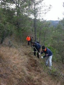 Se ha realizado un trabajo previo de limpieza y recuperación de antiguos senderos.