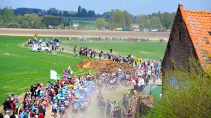 El pelotón, en la París-Roubaix 2014 © tdwsport