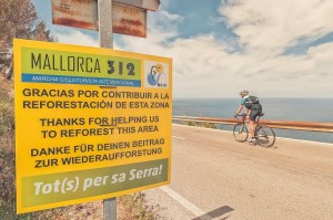 Mallorca 312