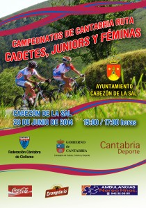 cartel_CampCantabriaRuta2014