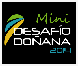 minidesafio