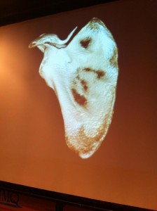 La zona afectada escaneada © Movistar