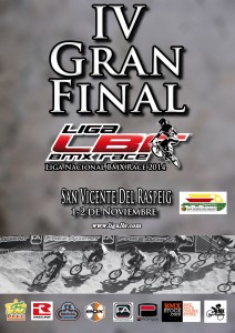 Cartel Gran Final 2014 patronato_2