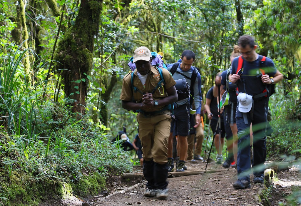 Subida Kilimanjaro