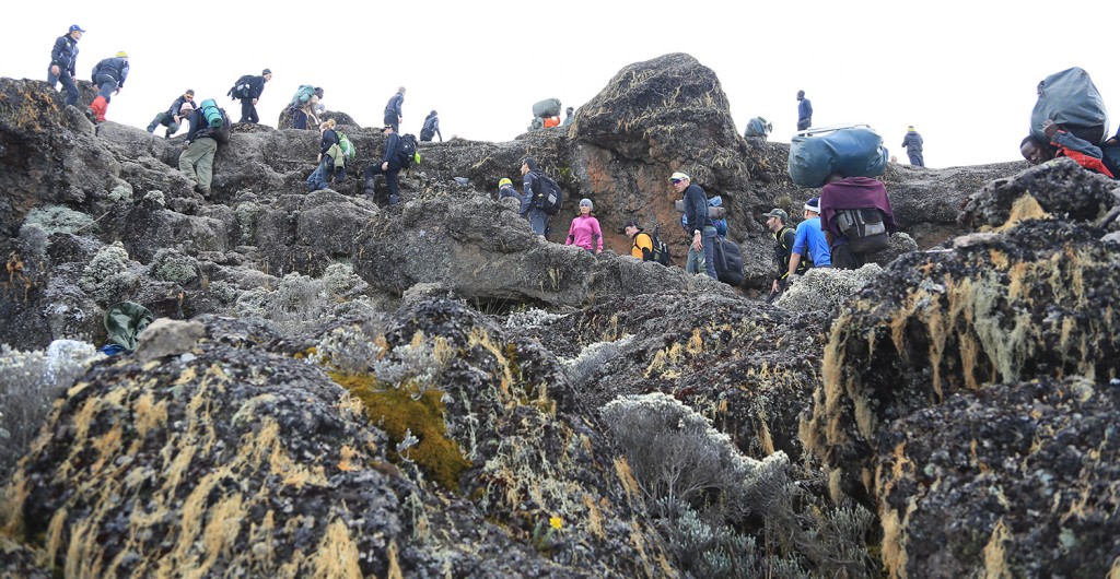 Subida Kilimanjaro