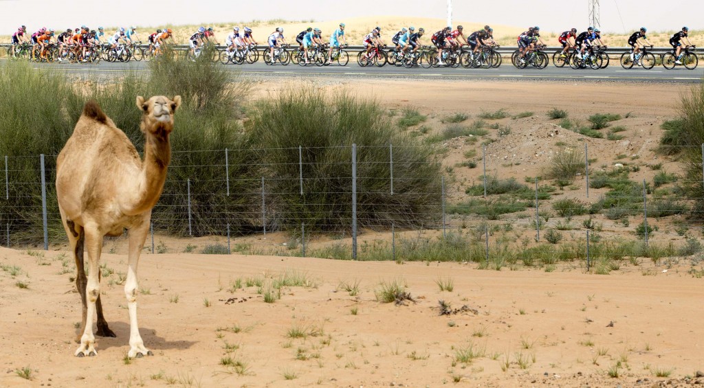 Dubai Tour: Terza tappa