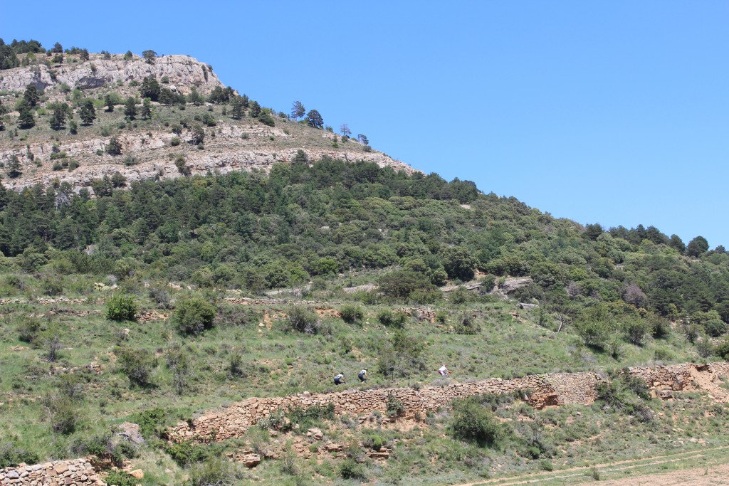 Desafío Titánico 2015