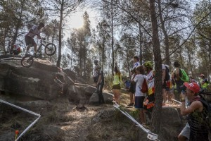 XXX © Francesc Lladó