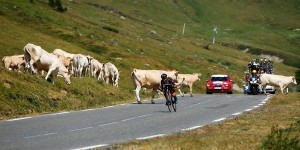 Barguil salva las vacas © Sky