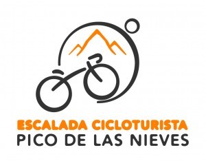logo pico de las nieves