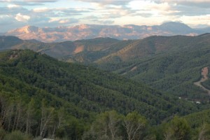 Los montes de Málaga.
