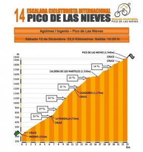perfil pico de las nieves