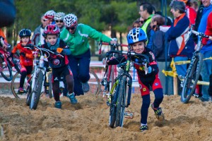 Imagen de las escuelas