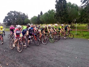 cto. andalucía cx_14 © FAC