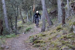 MMC_9464 gf priorat_16x