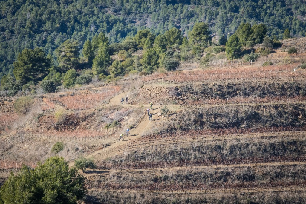 Los bikers recorrerán viñedos, senderos y pistas de la comarca tarraconense de El Priorat