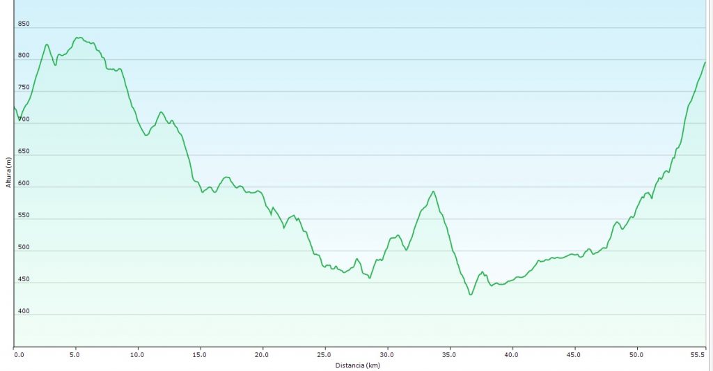 perfil iberico master_16