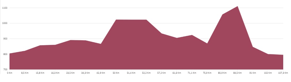 4ª et vta ribera duero jn_16