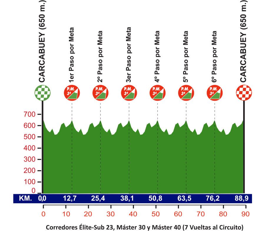 perfil vta carcabuey_16