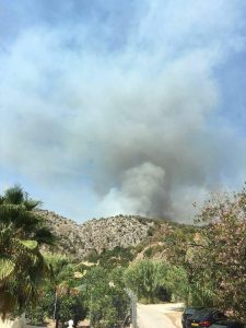 Imagen del incendio declarado en Bolulla