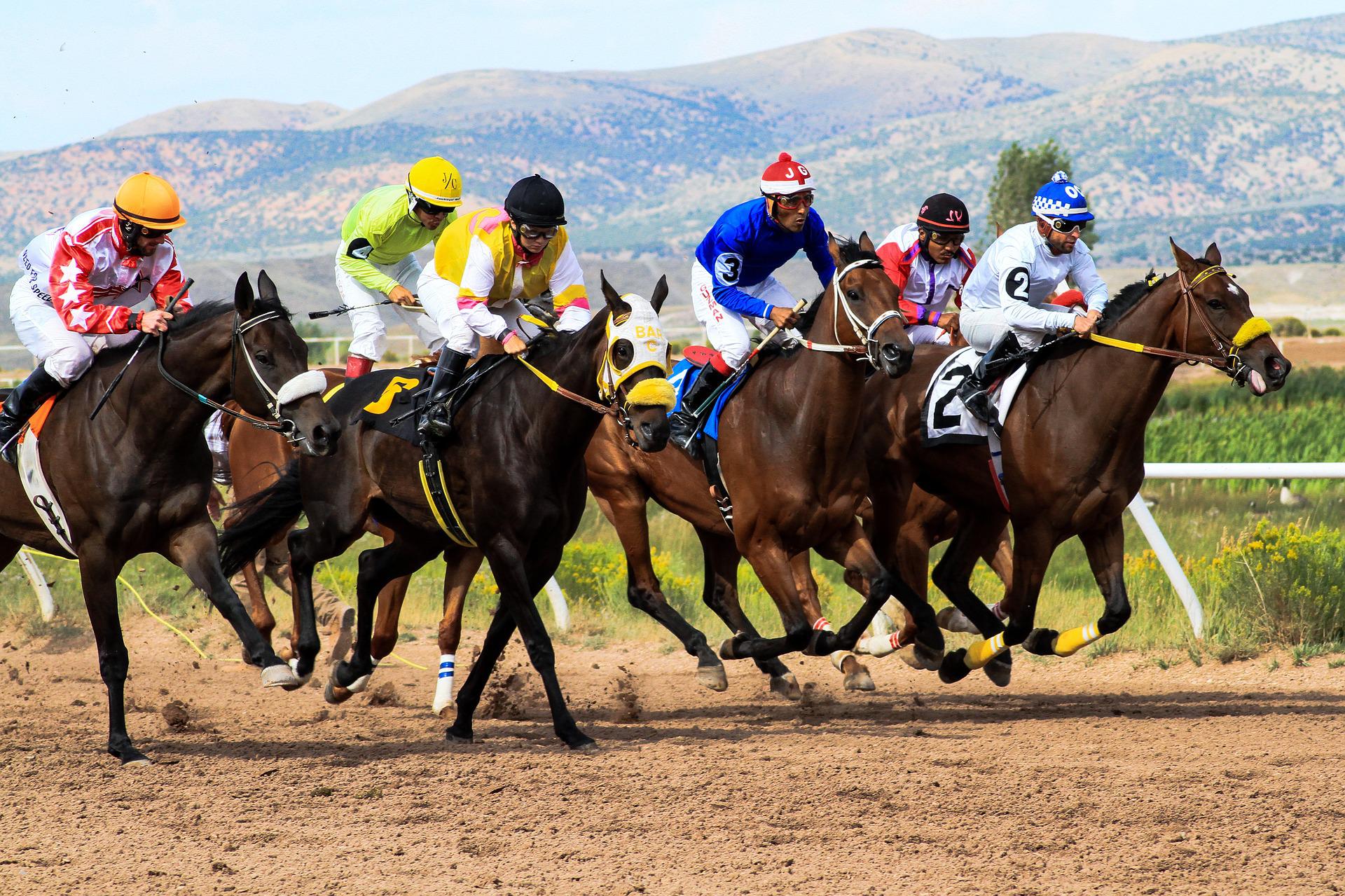 Consejos expertos para apostar en carreras de caballos